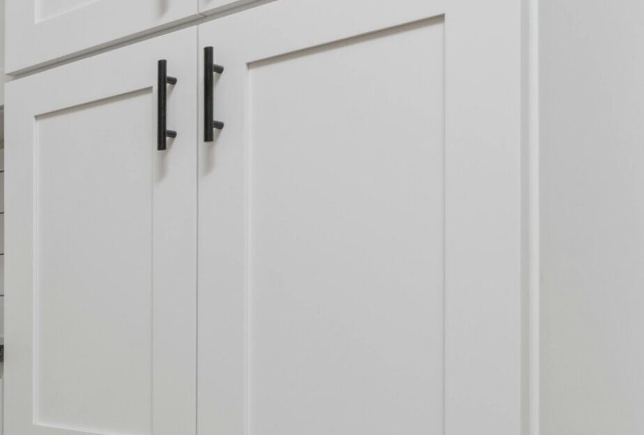 Read more about the article How to Choose the Right Kitchen Cabinets